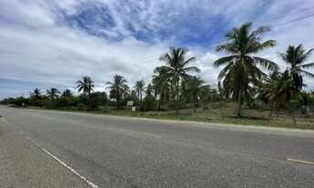 Imagem 3: Vendo área a 3km do Porto de Sergipe ( Possui 37 metros de testada