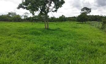 Imagem 6: Chácara disponível para venda em São Miguel do Passa Quatro Goiás