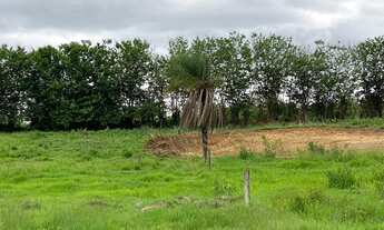 Imagem: Chácaras de 1.200mt em trindade próximas