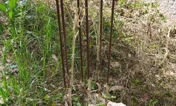 Imagem 5: Terreno à Venda - Condomínio Parque Esmeralda