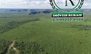 Imagem 7: Fazenda Agricultura Irrigada 93 Alqueires Tocantins