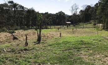 Imagem 4: Chácara em São José dos Pinhais