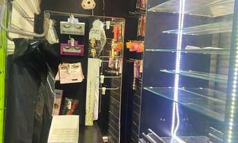 Imagem 2: Box setor verde centro fashion