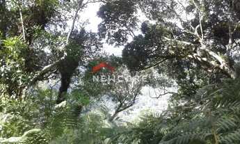 Imagem: Lote em Rua Jasmim - Colinas - São Francisco