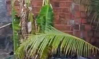 Imagem 2: Vendo ou troco casa