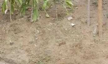 Imagem: Terreno 10X49,80