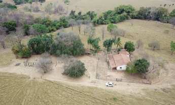 Imagem: Fazenda Samambaia Aurilandia Goias (Remo-Recanto