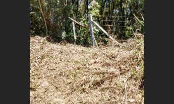 Imagem 4: Chácara 10.000 m2 120 mil -Colombo/Bocaiuva