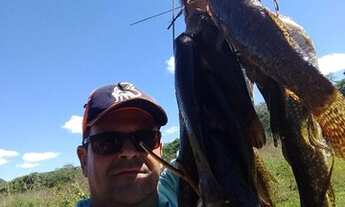 Imagem 5: Fazenda Alto Gurguéia