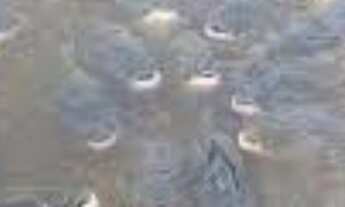 Imagem 2: Lote para casa dentro do club Amazon Acqua Park - Presidente Figueiredo