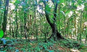 Imagem 5: Terreno à venda, 10000 m² por R$ 155.000,00 - Rio Sagrado - Morretes/PR