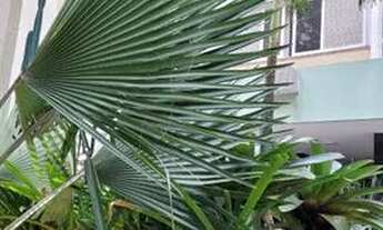 Imagem 4: Apartamento para aluguel tem 175 metros quadrados com 3 quartos em Icaraí - Niterói - RJ