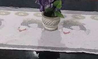 Imagem: Alugo Ideal Torquato Mobiliado