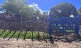 Imagem: Terreno em Tibiri 2 terreno todo documentado