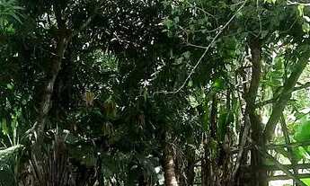 Imagem 6: Casa no Conde-ba