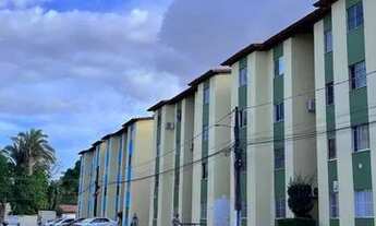 Imagem 4: Apartamento Turu - Rei de França