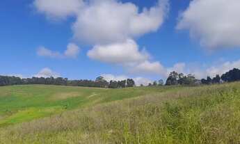 Imagem 2: Lote/Terreno para venda possui 500 metros quadrados em Centro - Cotia - SP