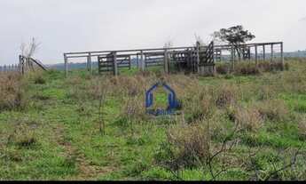 Imagem 3: Sítio com 1 dormitório à venda, 169400 m² por R$ 1.250.000 - Nova Itapirema - Nova Aliança