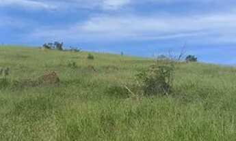Imagem 4: Este é um lote/terreno de 500 metros quadrados é incrível, pronto para ser construído!