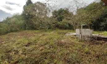 Imagem 3: Sítio em Quitandinha - PR