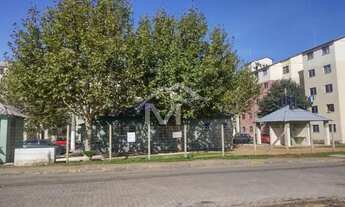 Imagem 3: APARTAMENTO CANOAS - RS