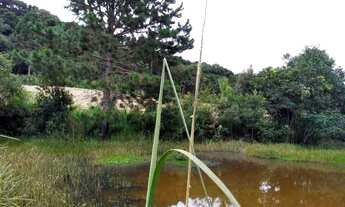 Imagem 4: Sítio em Quitandinha - PR