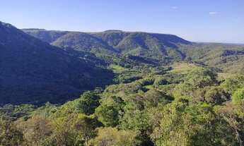 Imagem 2: Terreno 20.000m2 | São Luiz do Purunã