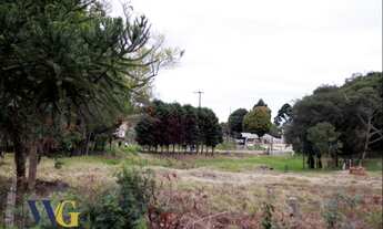 Imagem 6: Chácara para Venda em Balsa Nova, Centro