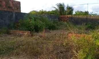 Imagem 4: Terreno 10x15 próximo da estrada de Genipabu