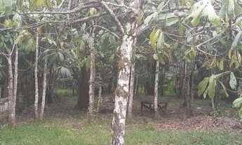 Imagem 2: Vendo casa na Vila de Beja Abaetetuba medindo 12X100 na rua Jader Barbalho