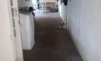 Imagem 8: Vendo casa 2 dormitórios