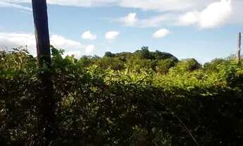 Imagem 7: Sítio sítio em engenho major pitanga 1 área 4