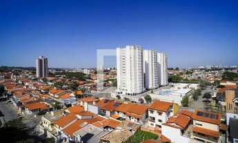 Imagem 6: Apartamento para Aluguel - Parque Três Meninos, 2 Quartos, 77 m2