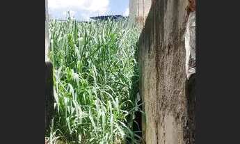 Imagem 2: Casa na penha Casa com 2 dormitórios