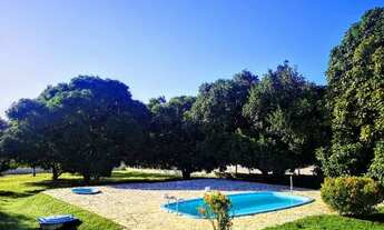 Imagem 5: Sitio em Amelia Rodrigues