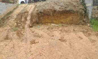 Imagem: Meio Lote Castanheira Santa Luzia