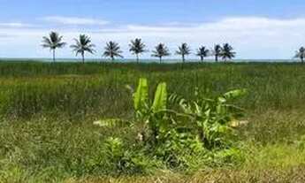 Imagem 6: Chácara Pé na areia - Praia dos Corais ALCOBAÇA - BA