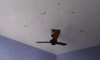 Imagem 7: Casa no Bairro São Geraldo