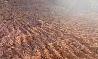 Imagem 5: Lote/Terreno para venda com 100 metros quadrados