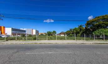 Imagem 4: Terreno para aluguel Pelotas