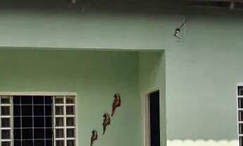 Imagem: Casa no Anjo da Guarda