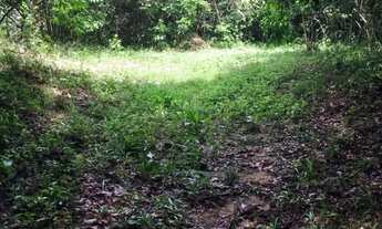 Imagem 2: Chácara 7 Alqueires Vianópolis GO