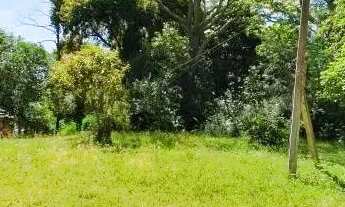 Imagem 7: Terreno Lomba da Palmeira Sapucaia do Sul