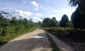 Imagem 6: Sítio na estrada de Novo Airão