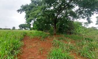 Imagem: TERRENO RURAL 50.000M2
