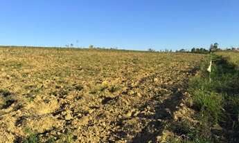 Imagem 2: Imóvel para venda com 1000 metros quadrados em Capanema - Araçoiaba da Serra - SP