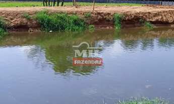 Imagem 5: Fazenda em Cachoeira Alta-GO. (153 Alqueires