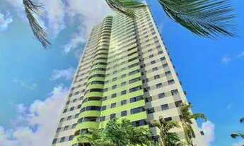 Imagem: Corais do alto de candelária super ventilado