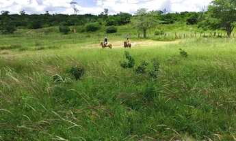 Imagem 3: FAZENDA RURAL em IBIQUERA - BA, CHAPADA DIAMANTINA