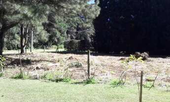 Imagem: Terreno - Bairro Parque das Hortênsias
